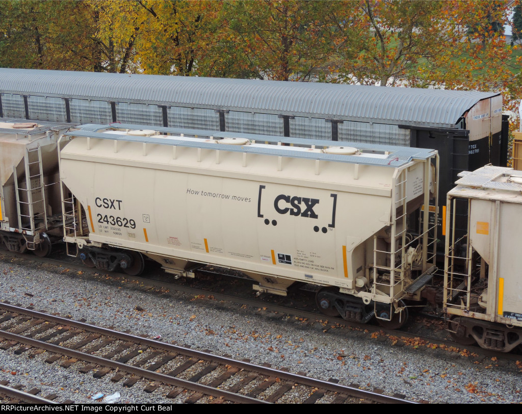 CSX 243629